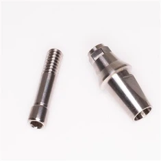 Ti Base Implant